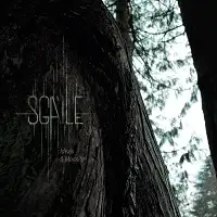 Sgàile - Ideals & Morality album cover