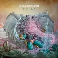 Shadow Limb - Burn Scar album cover