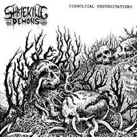 Shrieking Demons - Diabolical Regurgitations album cover