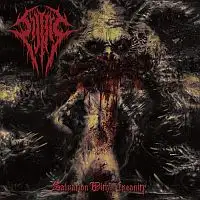 Sijjeel - Salvation Within Insanity album cover