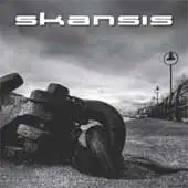 Skansis - Take Your Chance album cover