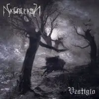 Skialykon - Vestigio album cover