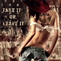 Skip Rock - Take It Or Leave It album cover