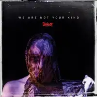 Slipknot - We are not your Kind album cover