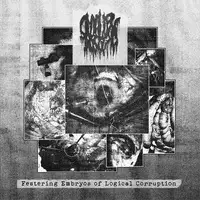 Smallpox Aroma - Festering Embryos of Logical Corruption album cover