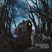 Snailking - Storm album cover