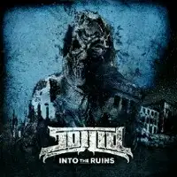 Soilid - Into The Ruins album cover