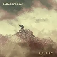 Somaesthesia - Recidivist album cover