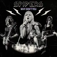 Spiders - Why Don't You album cover