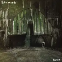 Spiral Wounds - Shadows album cover