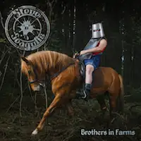 Steve 'N' Seagulls - Brothers In Farms album cover