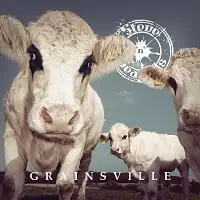 Steve n' Seagulls album cover