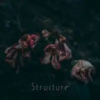 Structure - Structure album cover