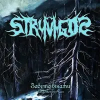 Stryvigor - Forgotten By Ages album cover