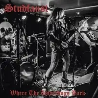 Studfaust - Where The Underdogs Bark album cover