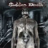 Sudden Death - Injection Of Hate album cover