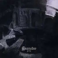 Svartelder - Pits album cover