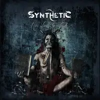 Synthetic - Here Lies The Truth album cover