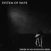 System Of Hate - There Is No Madness Here album cover