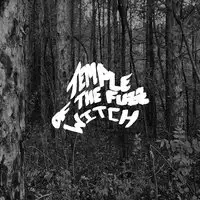 Temple of the Fuzz Witch - Temple of the Fuzz Witch album cover