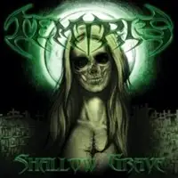 Temtris - Shallow Grave album cover