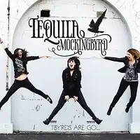 Tequila Mockingbyrd - T-Byrds Are Go album cover