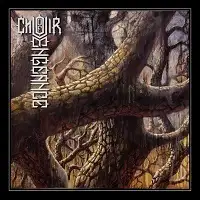 The Choir Of Vengeance - The Choir Of Vengeance album cover