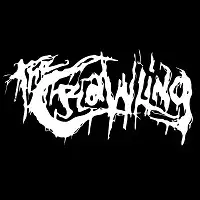 The Crawling - In Light of Dark Days album cover