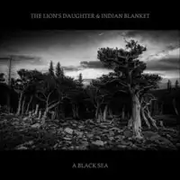 The Lion's Daughter & Indian Blanket - A Black Sea album cover