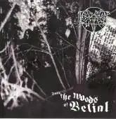 Thou Shalt Suffer - Into The Woods Of Belial album cover