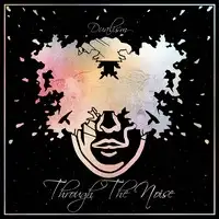 Through the Noise - Daulism album cover