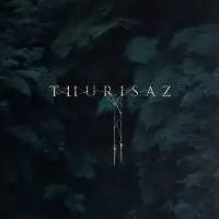 Thurisaz - Re-Incentive album cover