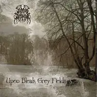 Timor Et Tremor - Upon Bleak Grey Fields album cover