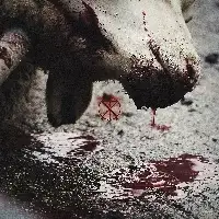 To The Grave - Director's Cuts album cover