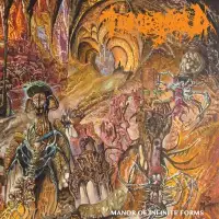 Tomb Mold - Manor of Infinite Forms album cover