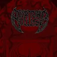 Torture Pulse - Devilroot album cover