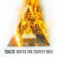 Tracer - Water For Thirsty Dogs album cover