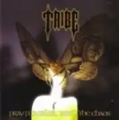 Tribe - Pray For Calm...Need The Chaos album cover