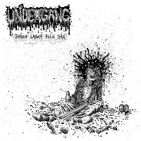 Undergang - Døden Læger Alle Sår album cover