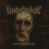 Undersave - Sadistic Iterations...Tales of Mental Rearrangement album cover