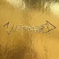 Unprocessed - Gold album cover