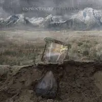 Unprocessed - Perception album cover