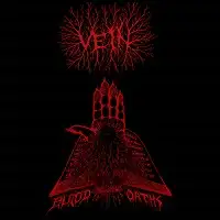 V.E.I.N. - Blood Oaths album cover