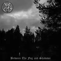 Vardan - Between The Fog And Shadows album cover