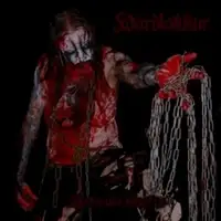 Vardlokkur - Articulo Mortis album cover