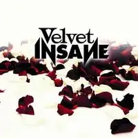 Velvet Insane - Velvet Insane album cover