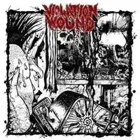 Violation Wound - Violation Wound album cover