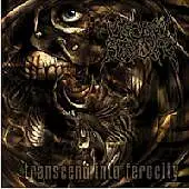Visceral Bleeding - Transcend Into Ferocity album cover