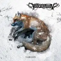 Voice Of Ruin - Consumed album cover