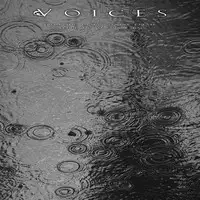 Voices - From the Human Forest Create A Fuge of Imaginary Rain album cover